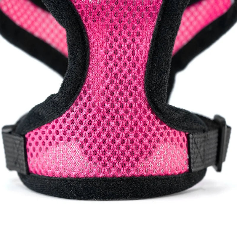 Sfb40520c54694342a5edc98d28e787d7D